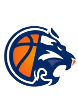 OUEST LYONNAIS BASKET