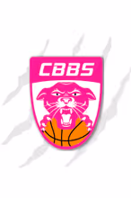 CHARNAY BASKET BOURGOGNE SUD
