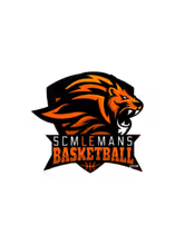 LE MANS SARTHE BASKET